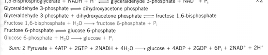 mvei Regulering via fruktose,6-bisfosfat Pi Fruktose-6-fosfat AMP, F-,6- BP Fruktose-,6 bisfosfatase Sitronsyre Fruktose-,6-bisfosfat Merk at Fruktose-,6- bisfosfatase reguleres omvendt av