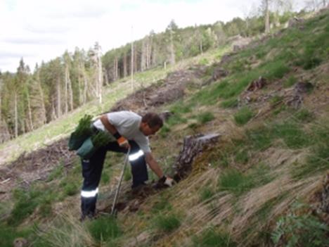 Rammer Planting og ungskogpleie Rest tidligere år Bevilgning L-dir 2015 Disponibelt 2015 0,2 mill kr 3,1 mill kr 3,2 mill kr Bevilgning og investering Utdelt runde 1 2,84 mill kr Antatt rest i