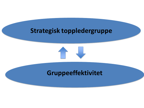 Hver toppledergruppe starter og avslutter programmet med en kartlegging av ledergruppen med verktøyet Effect.