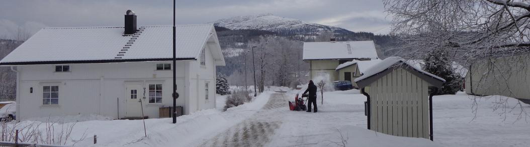 Når tiltaket ikkje rører ved trafikktryggleiken, ser ikkje kommunen andre partar enn dei som skal bu på tomta.