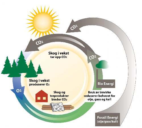 Figur: skogens rolle i karbonkretsløpet (Det norsk skogselskap) St.meld. nr.