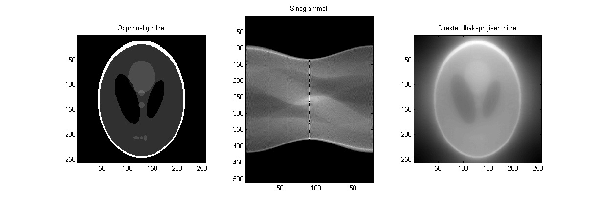 Dette kan du selvsagt gjøre for samtlige verdier av s og samtlige verdier av θ. Hvis du nå holder x og y fast, og legger sammen samtlige g(x, y; s, θ), vil du få en verdi g(x, y).