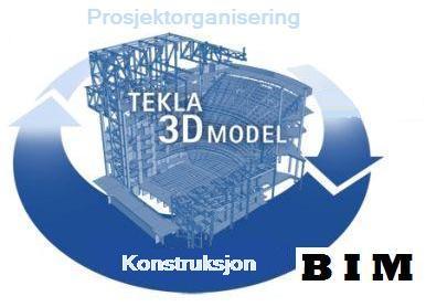 Hovedprosjekt 2009 Prosjektorganisering ved bruk av