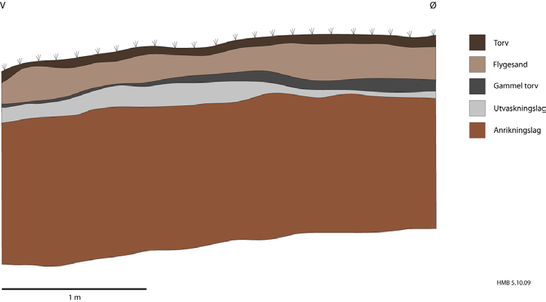 3.0 Resultater 3.1 Stratigrafiske forhold, Profil A C I Profil A var stratigrafien oversiktelig og ukomplisert: Fig. 6: Utsnitt av Profil A. Illustrasjon: HMB. Flygesandslaget var opp til 25 cm tykt.