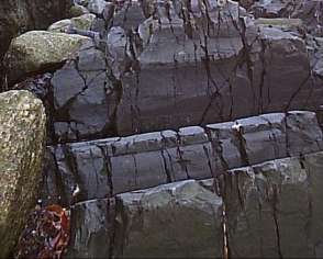 Pegmatitt er en dypbergart som er dannet dypt nede i jordskorpa før den størknet. Fjellkjedefoldinger og erosjon har dyttet denne størkningsbergarten opp i dagen.