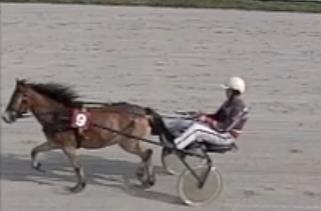 Ponniløp Nordre Norum Gård's Løp Skjønnsmessig handicap 1 Nr 9 Nenne 9 Elin Kristin Nilsen Marius Johansen 1440 2.31,7 3:38,4 2 Nr 11 Tilja 13 Elin Kristin Nilsen Rebecca Westby 1540 2.