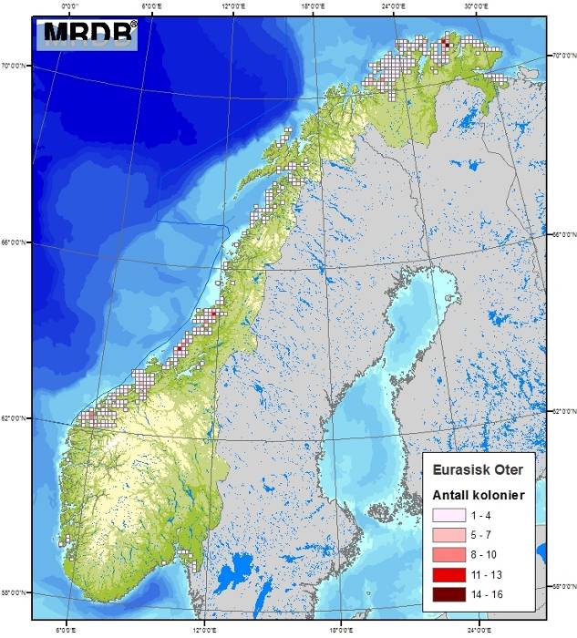 Figur C-19 Utbredelse av oter i Norge (MRDB, 2010). Strandhabitat I foreliggende rapport er det gjennomført en skadebasert analyse for strand i henhold til MIRA-metoden (se OLF, 2007).