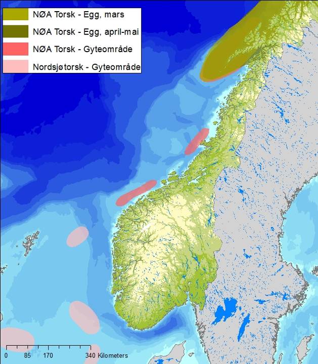 Figur C-21 Gyteområde for sild, torsk og hyse, samt egg