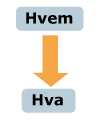 Sammenlignet med høyprofilledere med stor personlighet, slik som får mye publisitet og blir kjendiser, er lederne av GtG-selskaper av en helt annen støpning.