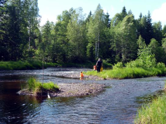 Kjell Sandaas Naturfaglige konsulenttjenester Utbredelse og