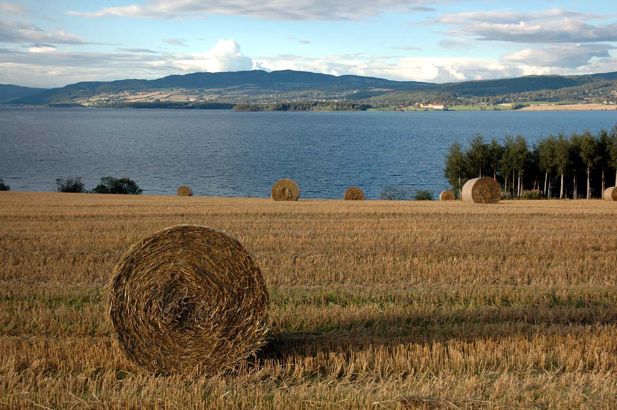 Grønne energikommuner er knyttet