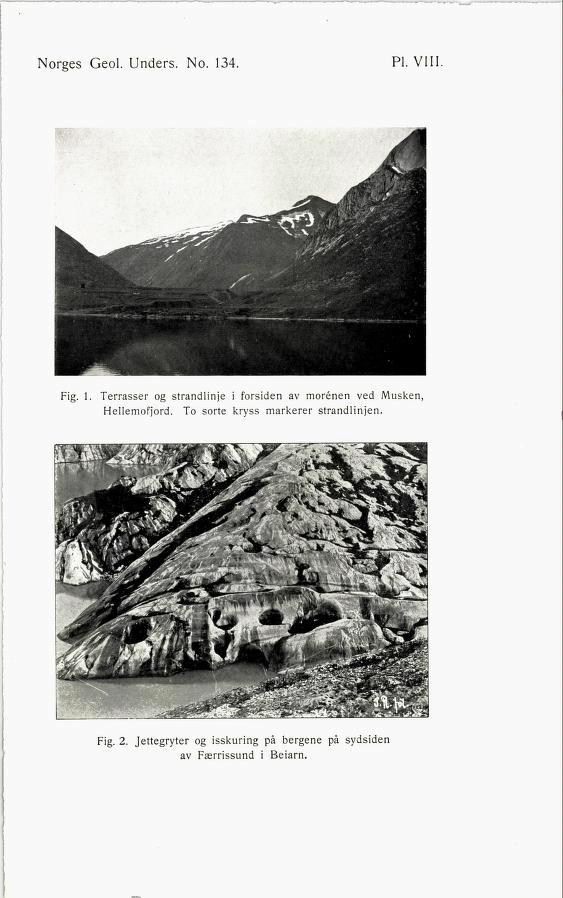 Norges Geol. Unders. No. 134 Pl. VIII Fig. 1. Terrasser og strandlinje i forsiden av morenen ved Musken Hellemofjord.