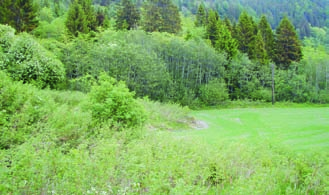 22 skråninger, på grunt jorddekt berg, bergheller, tørr åpen skog og rabber og heier i fjellet (Lid & Lid 1994).