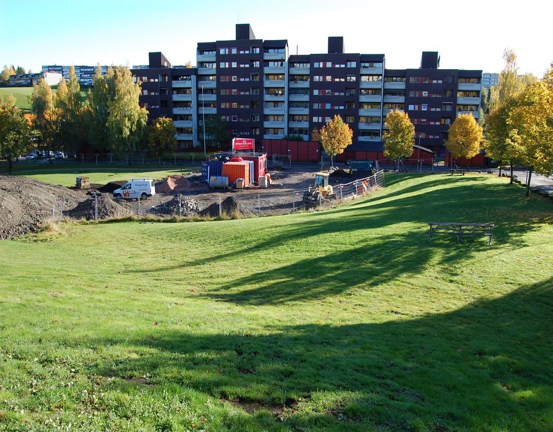 Oppdragsgiver Bymiljøetaten i Oslo Kommune Rapporttype UTKAST -