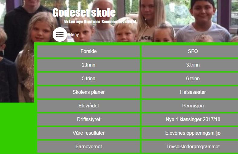 SKOLENES