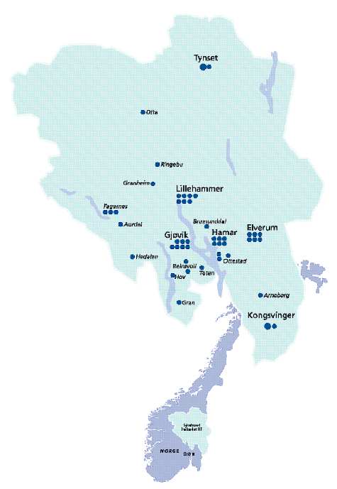 Sykehuset Innlandet HF 6 somatiske sykehus 2 psykiatriske sykehus 41 geografiske enheter 9 divisjoner Antall ansatte Ca 8.