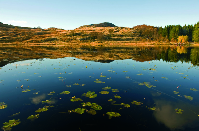 Fullstendig forslag til økonomiplan 2014 2017 på www.sandnes.kommune.no Foto: John Sirevåg Administrasjonsutvalget og formannsskapet: 26. november Bystyret: 17.