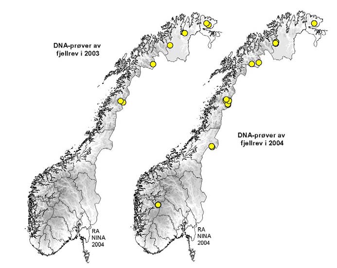 Figur 8. Kjente fjellrevhi der fjellrevaktivitet er påvist gjennom DNA-analyse av ekskrementer funnet i 2003 (7 ulike hi) og 2004 (16 ulike hi + Finse). Konklusjoner Pr 1.