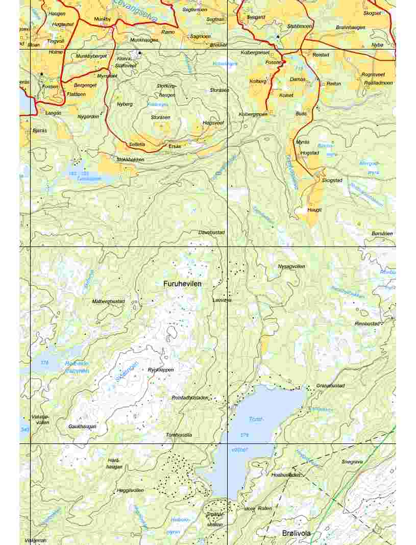 Tiltaksbeskrivelse: 1719/99/1, Tomtvatnet, Skogn og Grønningen allmenninger - hytteområde Dagens formål LNF- med Situasjonskart fritidsbebyggelse Ikke definert Foreslått formål Fortetting av