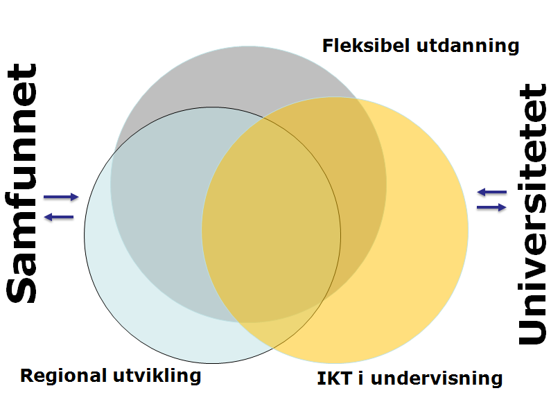 Dette skjer ved en tung og aktiv innsats for å utvikle og bruke IKT i utdanning på mest mulig hensiktsmessige måter.