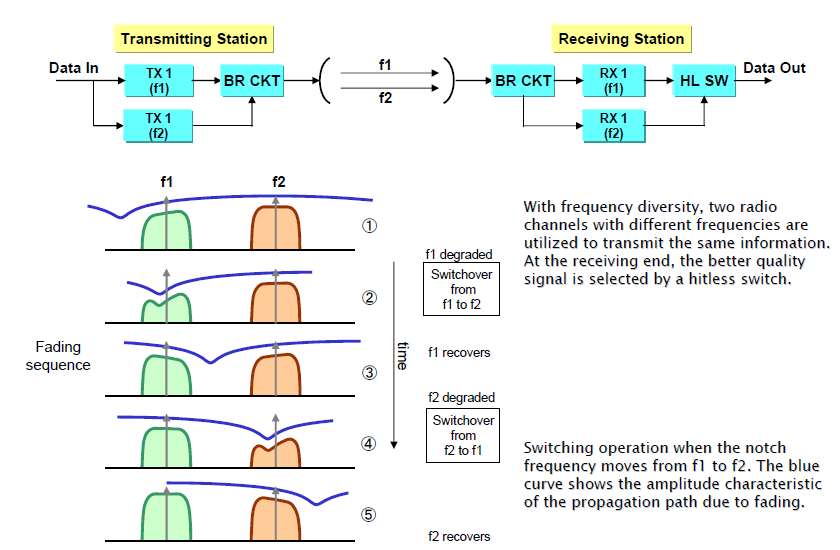 FREQUENCY