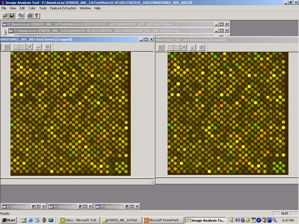 Transcriptomics 60000 Annotation statistics Results interpretation No.