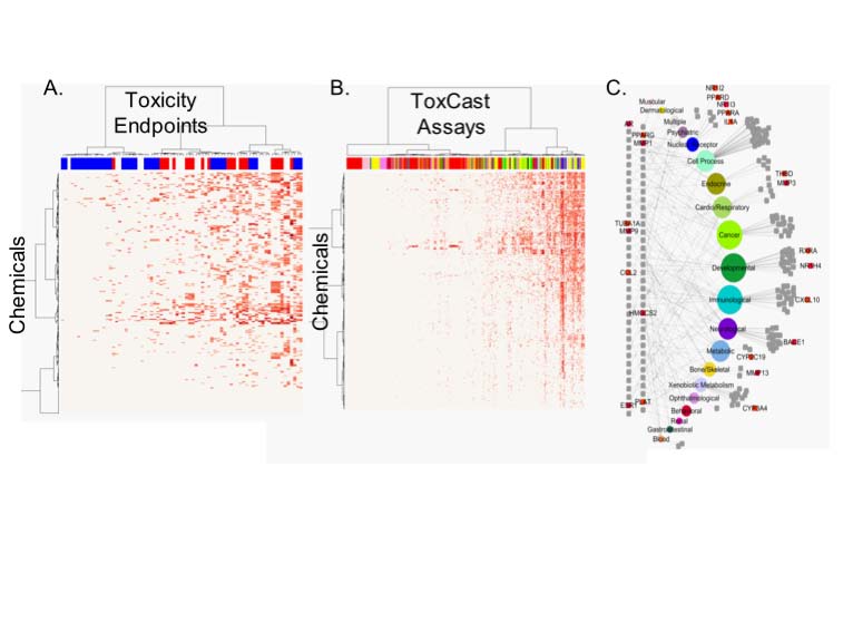 Predicting Toxicity and Disease ToxRefDB ToxCast