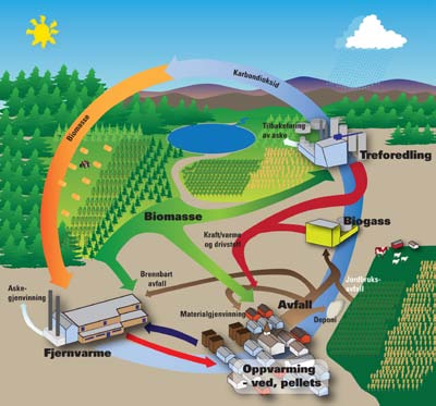 Bioenergy Innovation Centre (CenBio) Bioenergy Innovation Centre (CenBio) Universitetet for miljø- og biovitenskap (UMB) FoU: Norges teknisk-naturvitenskapelige universitet (NTNU), SINTEF Energi AS,