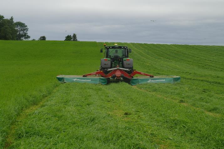 Årsaker til svinn (tap av næring) Tap ved slått, fortørking og innkjøring (aerob fase) Tap ved lagring (i silo eller rundballe)