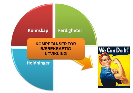 30 min: 10 minutter per skole (presentasjon inkludert diskusjon) 1. Presenter problemstillingen deres («Wicked Problem») 2.