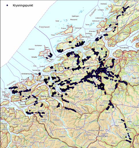 Hjortens krysningsfrekvens av vei Ut fra posisjonene ble det generert 370 791 steps/forflytninger 38 596 krysninger av