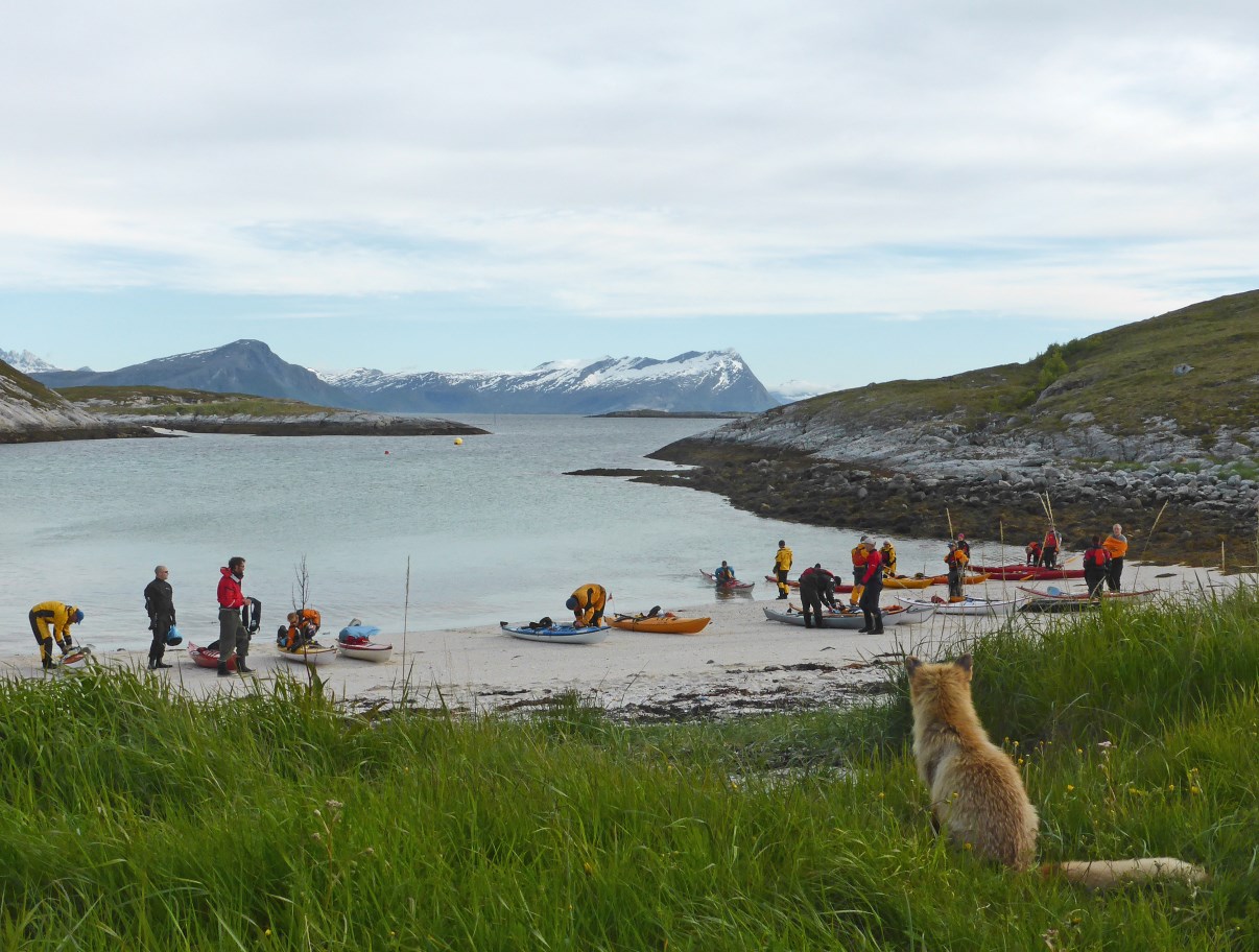 13.04.2016 Årsmelding 01.05.2015-30.04.2016 Paradisbukta, Store Hjartøya.