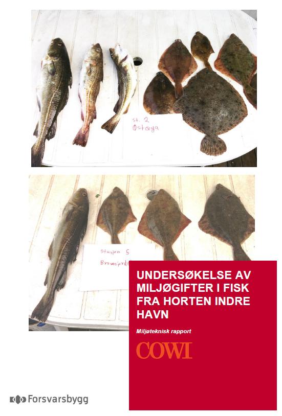 Risiko for human helse Eksponering via konsum av fisk og skalldyr viktigste for human helse Ifølge risikoberegningene (som er konservative), begrenset uakseptabel risiko for inntak av fisk i forhold