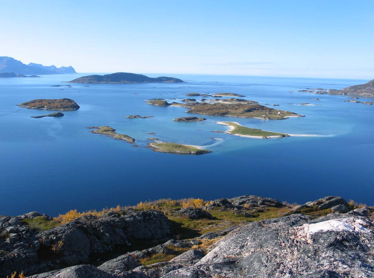 Homocysteinnivå og volumetrifunn ved MR-undersøkelse av hjernen hos gamle med MCI stratifisert på demensutbredelse i Tromsø Demensstudie: - Nøstet kasus-kontrollstudie under Tromsøundersøkelsen