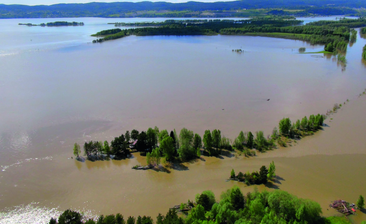 Flommen i Øyeren / Glomma i juni 2013. Furu ved utløpet av Kirkeråka og Monsrudvika i Øyeren. Rossholmen og Rossholmvika i bakgrunnen. Øyene i Nordre Øyeren naturreservat er nesten helt oversvømt.