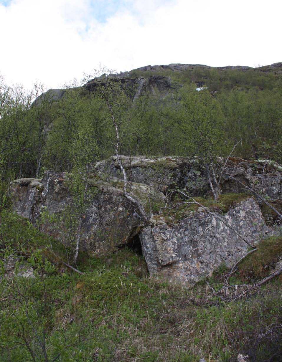 Vedlegg bilder fra befaringer Figur 9: Blokker i utløpsområdet til område 22