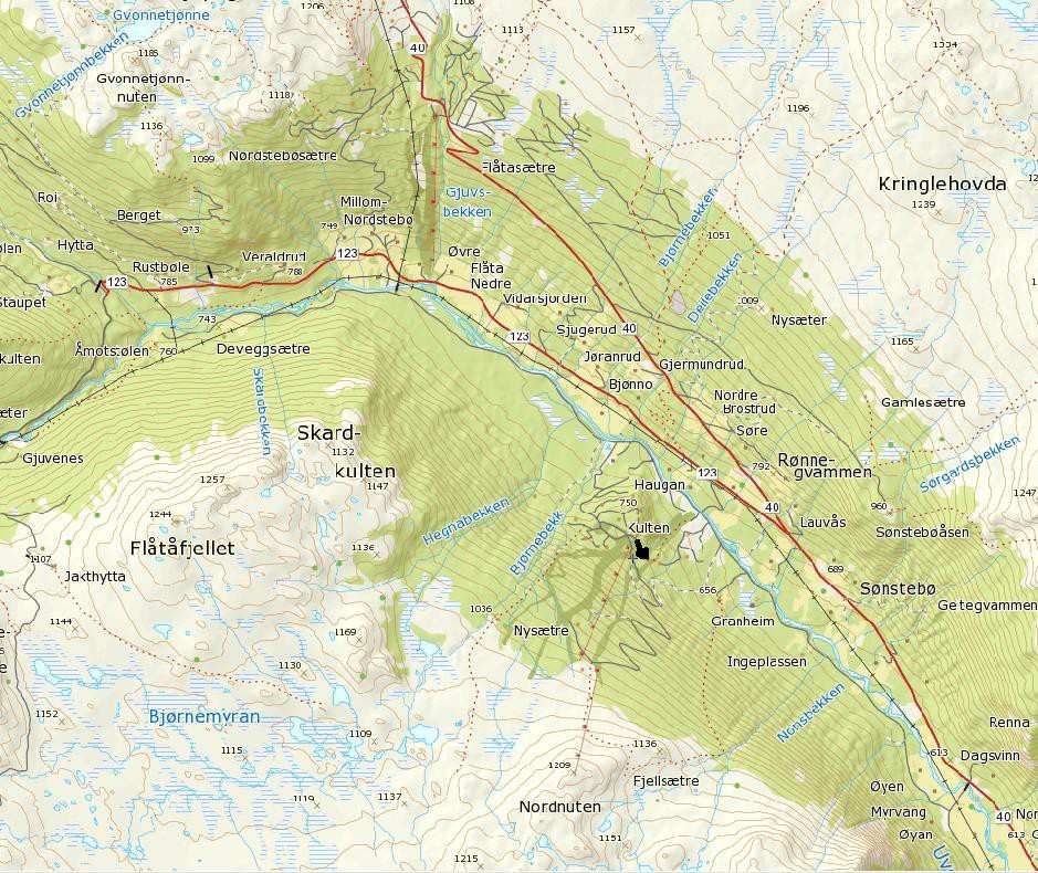 4. Beskrivelse av planområdet, eksisterende forhold 4.1 Områdeavgrensning og lokalisering Planområdet ligger på ca. 725 moh. ved Uvdal alpinsenter i Nore og Uvdal kommune.