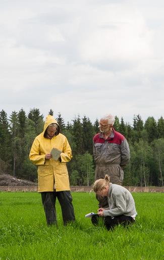 Landbrukets klimautslipp Landbruket står for 9 % av totale norske klimautslipp 30 % husdyr - fordøyelse (CH 4 ) 28 % dyrking av myr (N 2 O) 15 % husdyrgjødsel (CH 4 + N 2 O) 10 % mineralgjødsel (N 2