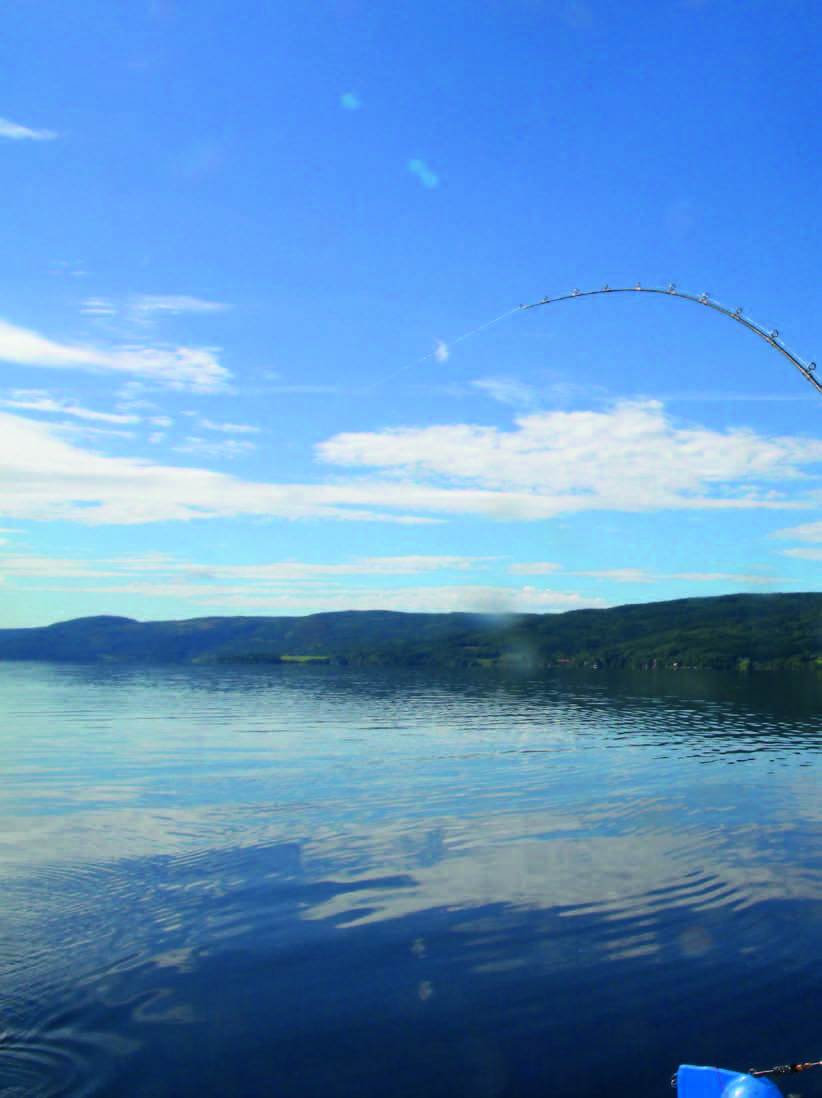 Fokus på en fisker Johnny Braata er Norges kanskje hyggeligste sportsfisker og en av de aller dyktigste allround erne vi har.