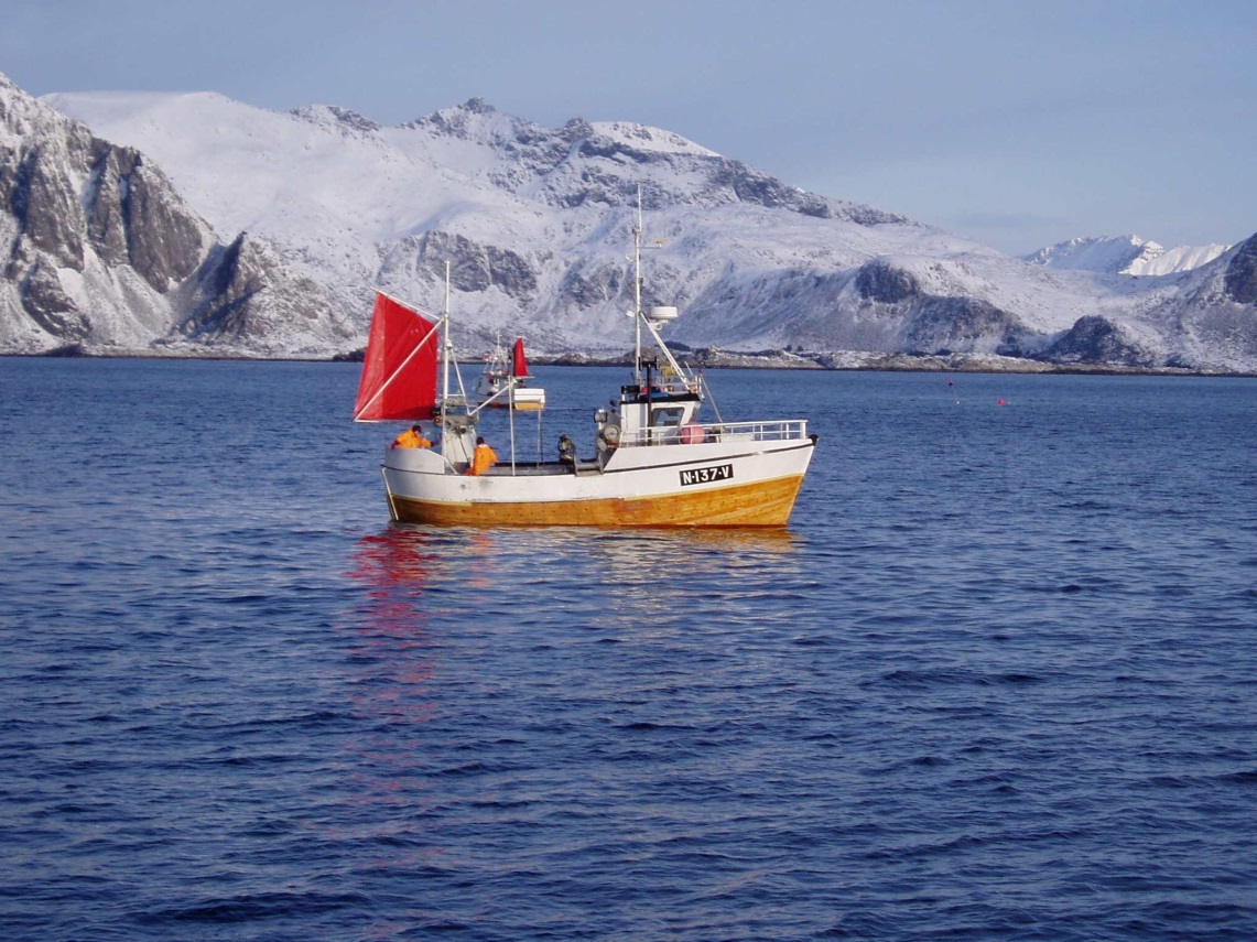 Åpen Rapport Behovskartlegging av elektrobedøving av fisk i garn og linefiskeri Resultater fra intervjuer og workshop.