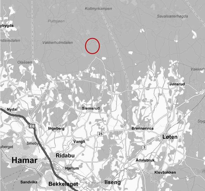 4 (21) FORSLAG TIL PLANPROGRAM 1. PLANOMRÅDETS BELIGGENHET Fjelltaket i Vang Almenning ligger nord for Gåsbu i Hamar kommune.