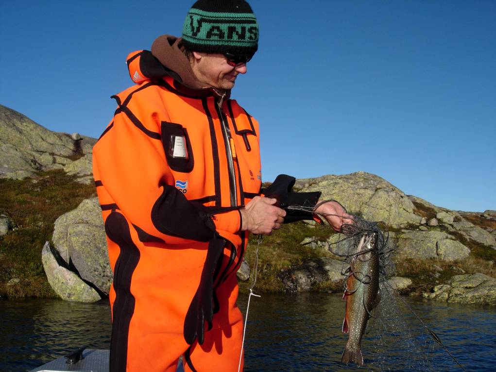 Fiskeundersøkingar i Blåsjø i 2007 R