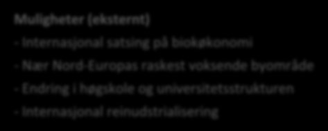 Vedlegg 2: Nærings-SWOT for Kongsvingerregionen En SWOT-analyse viser regionens interne styrker og svakheter samt eksterne muligheter og trusler.