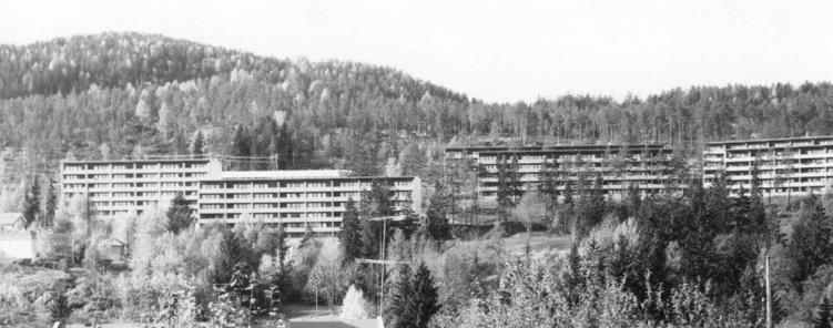 Hagaløkka (300 boliger) 1968-1973: 1040 leiligheter 116 rekkehus 250 eneboliger ~
