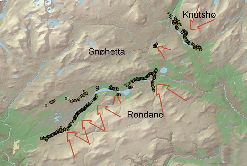 De enorme dyregravrekkene over Dovrefjell dokumenterer et tidligere storskalatrekk mellom viktige funksjonsområder; vinterbeiter i øst (Rondane-Knutshø)