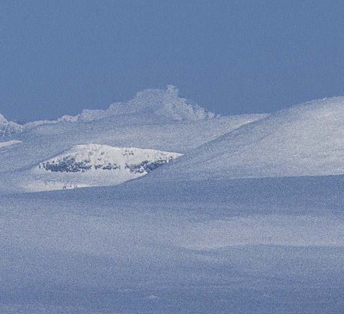 en helhetlig fjellmiljøpolitikk skjer i et samspill mellom myndigheter og næringslivet i fjellområdene. For å få til et godt samspill, må man ha hensiktsmessige spillplasser.