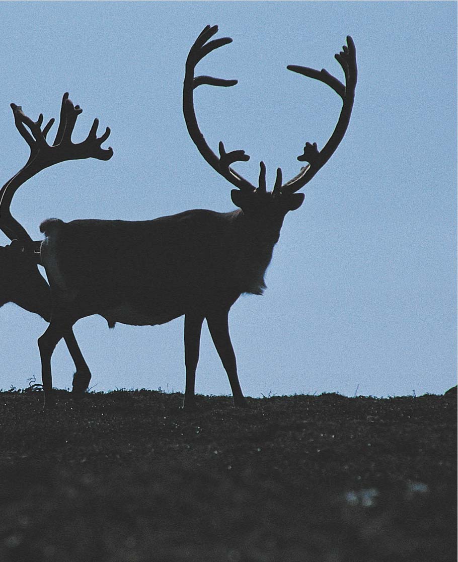 7 Hovedutfordringer Man kan stå støtt med begge beina på jorda, men et byggverk på to pilarer er ikke spesielt stabilt.