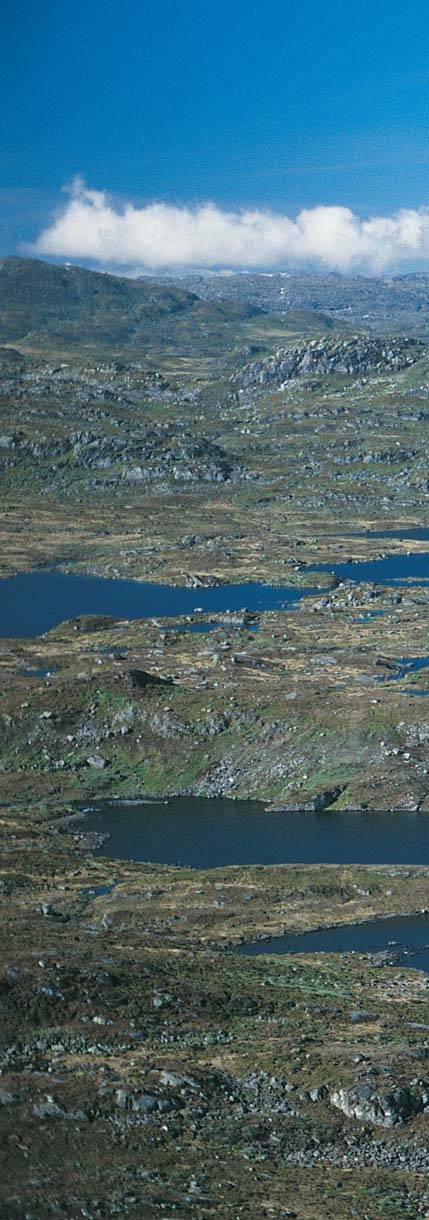 Et helhetsperspektiv bør ligge til grunn for arealforvaltningen i og omkring alle villreinområdene i Norge.