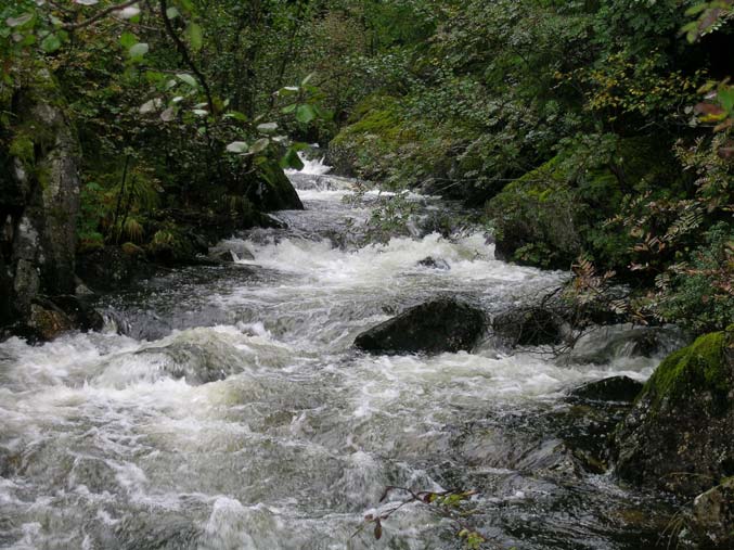 09 Sokndal: Lunnaknuden nordaust, her er eldre lauvskog (fuktig kystskog) med fleire raudlista, oseaniske lavartar. 10 Sokndal: Podlen, ein brakkvasspoll med m.