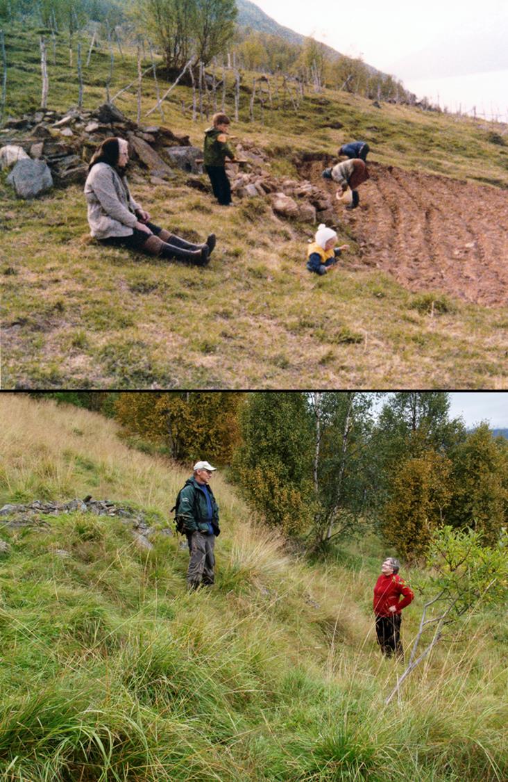 Tidligere arealbruk: Potetland til eget husbruk. 1979. Potetsetting på Raftvold. Ytter Skardalen.